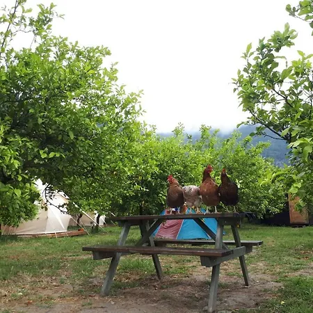 Kamp Lotus Kamp alanı