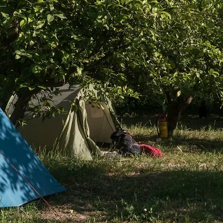 Kamp Lotus Kamp alanı *