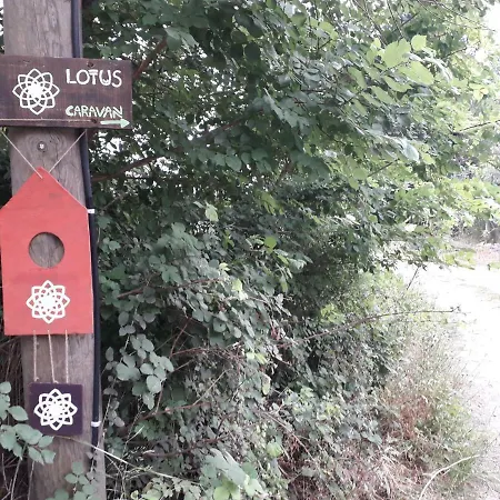Kamp Lotus Ortaca (Mugla)