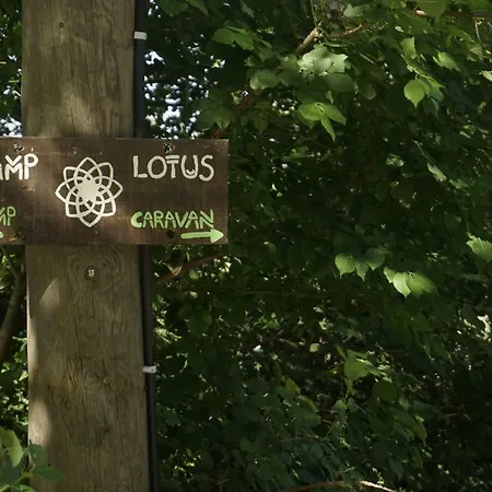 Kamp Lotus Kamp alanı